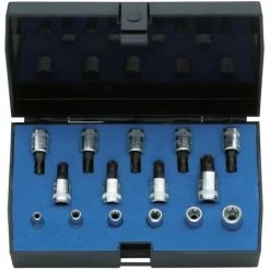 Gedore Composition De Douilles Tournevis 1/4" TORX - ITX 20 TX-015